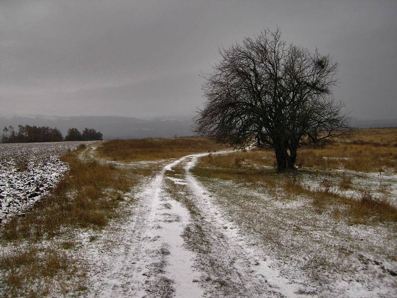 Какво сега ще диря сред този край, де пада мрака чер и само мокри клони дирижират на вятъра дивашкия концерт