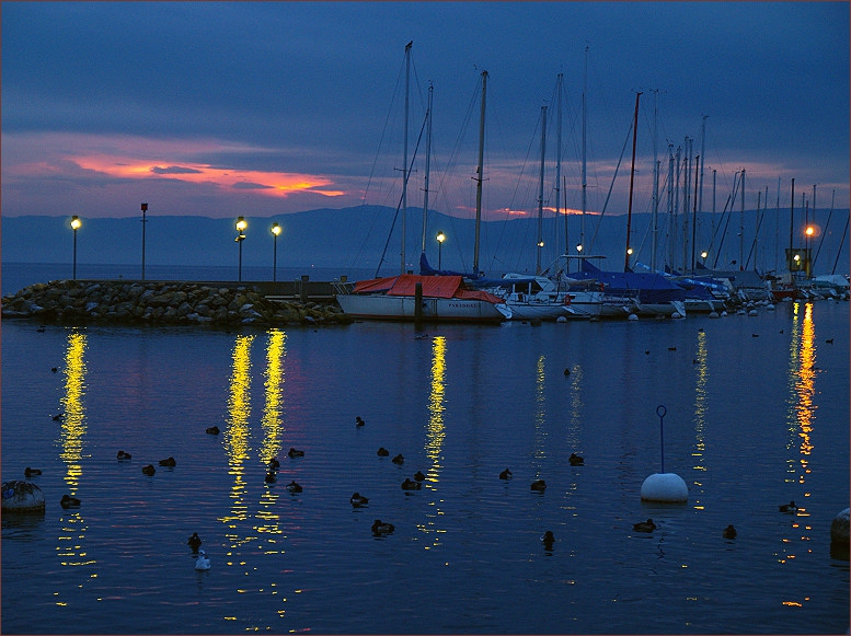 ..NightBlues..