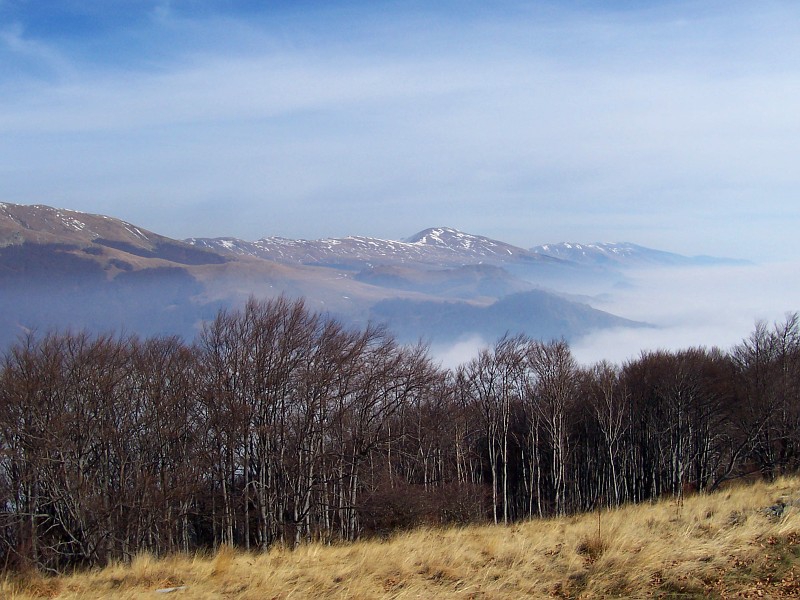 Misty
