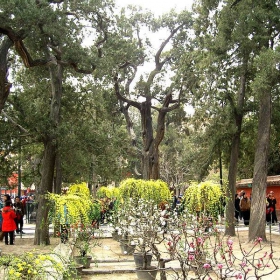 forbidden city