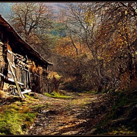 По пътя...към Гложенския манастир