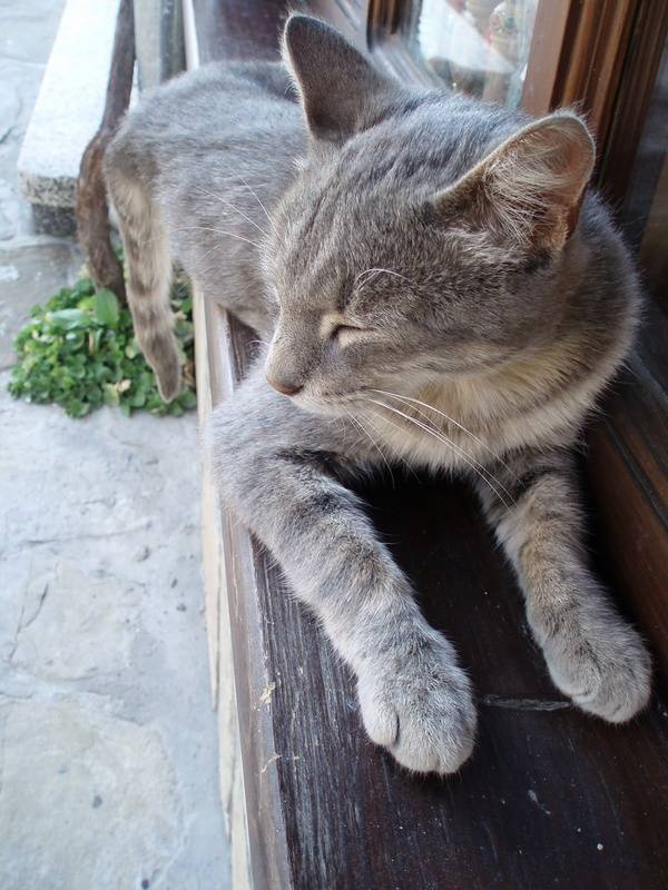 sleaping on the edge