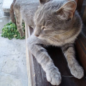 sleaping on the edge