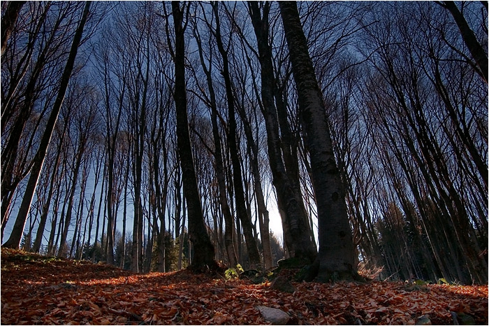 Снимка без име