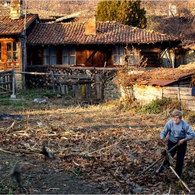 в ден случаен