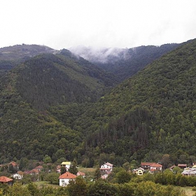 Рибарица