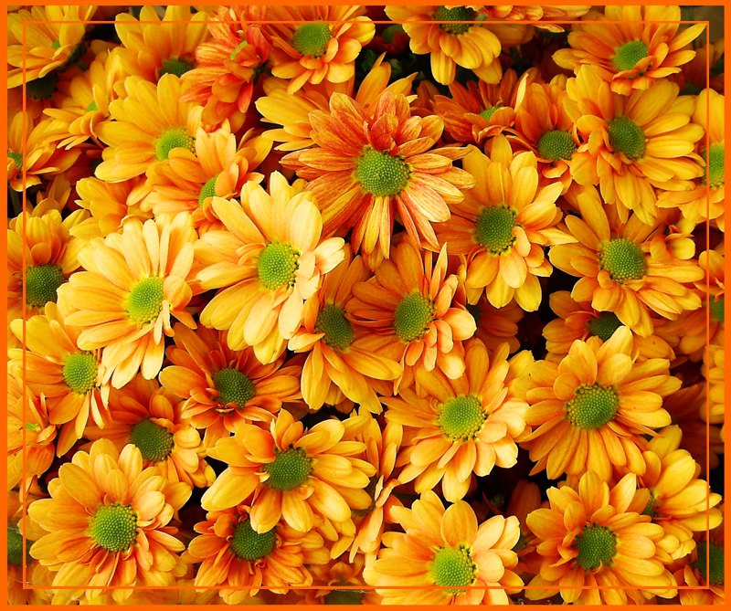За Вас .