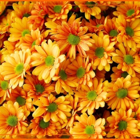 За Вас .