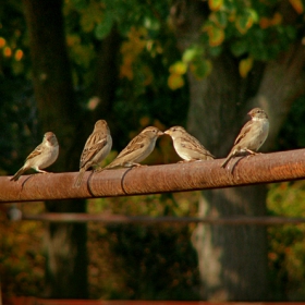 On The Wings Of Love.....