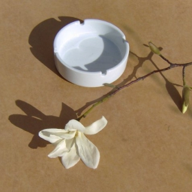 An Orchid