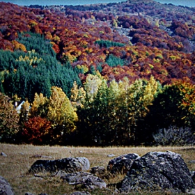 Есенно величие