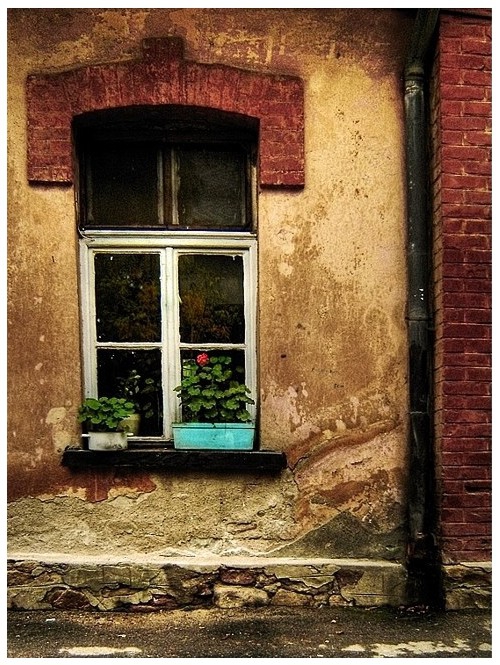 Colours & Shapes