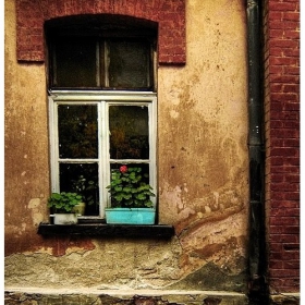 Colours & Shapes