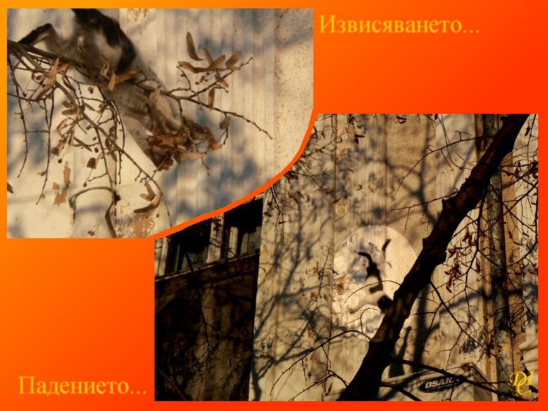 Хроника на една драма...