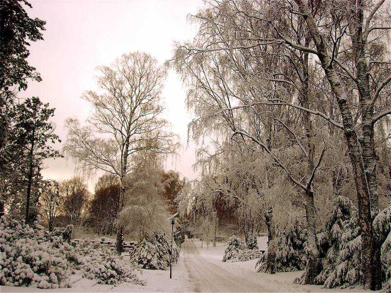 helsinki yesterday