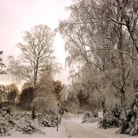 helsinki yesterday