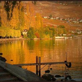 ..Esenno -2..