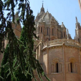 La Catedral Vieja