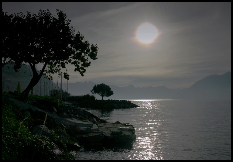 .. golyama veselba .. s golata po4ti Luna ..