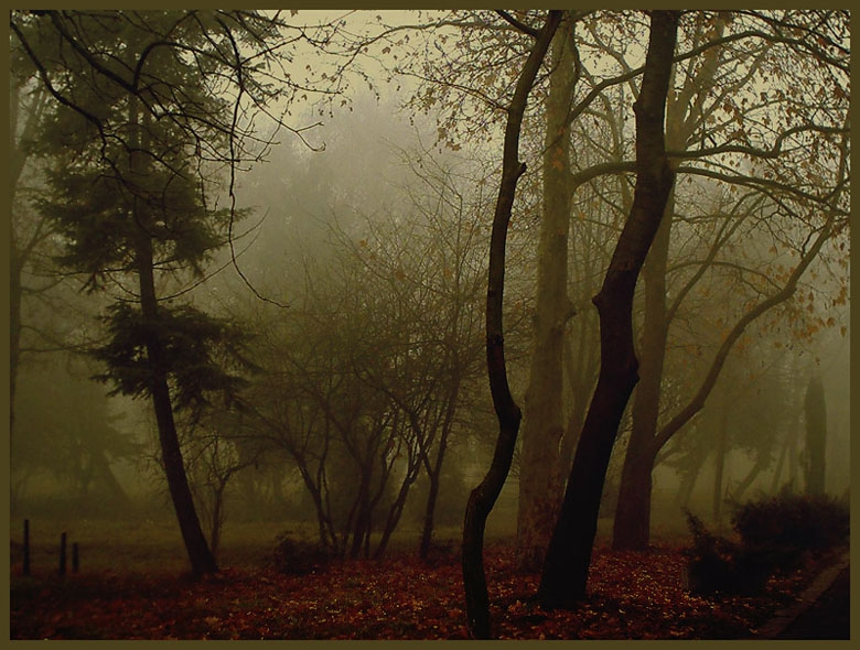 Autumn Dream