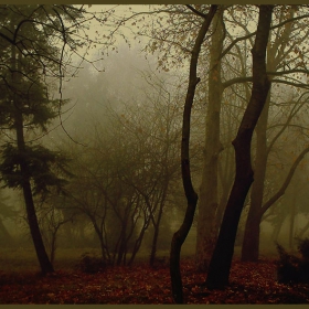 Autumn Dream
