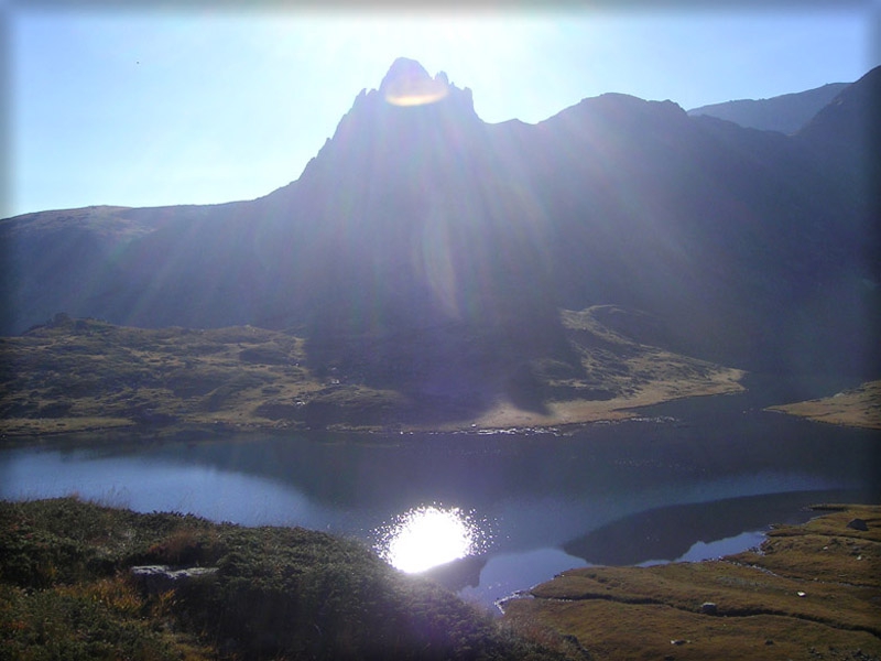 sunlight