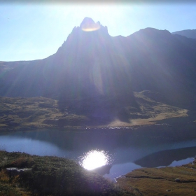 sunlight