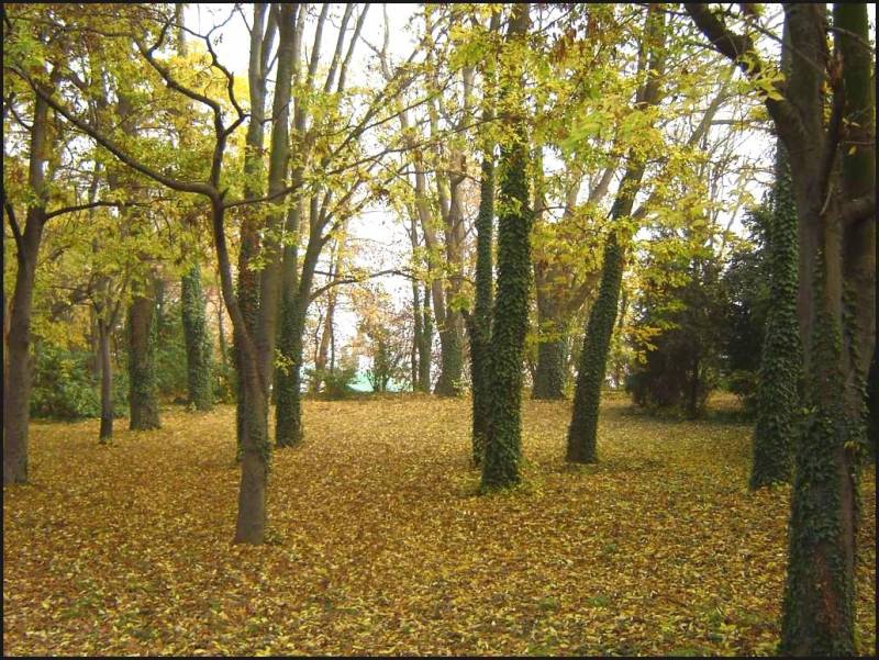 есенно