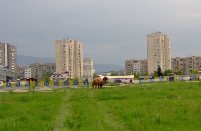 Камила ... в 