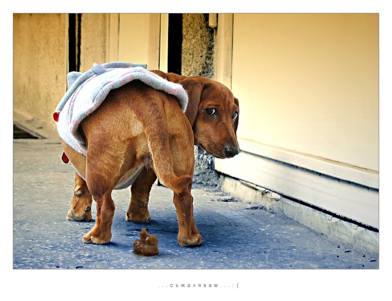 Снимка без име