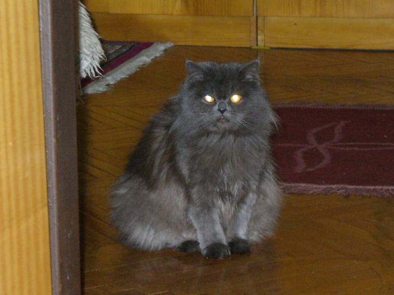 Снимка без име
