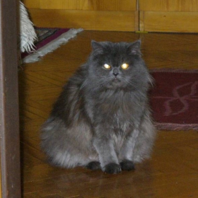 Снимка без име