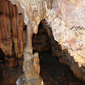 suevata dupka2