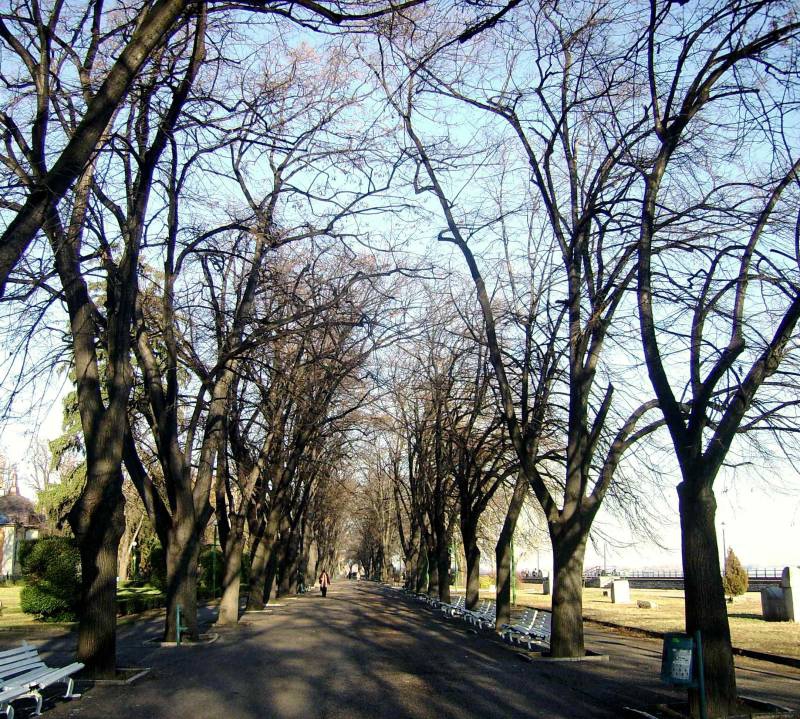 Алея в парка /Щях да я кръстя декемврийска алея в парка, но това  ако е декември!!!!!/
