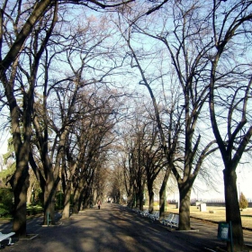 Алея в парка /Щях да я кръстя декемврийска алея в парка, но това  ако е декември!!!!!/