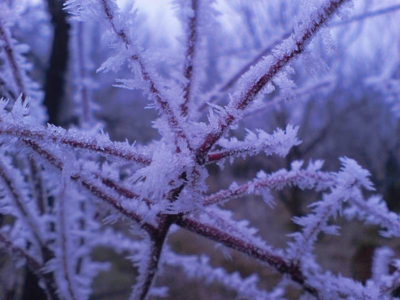 Freeze...