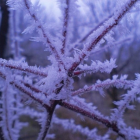 Freeze...