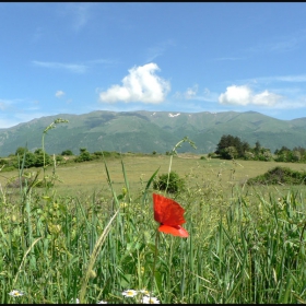 stara planina