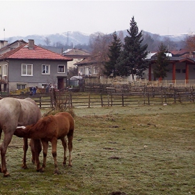 докато някои спяха:)