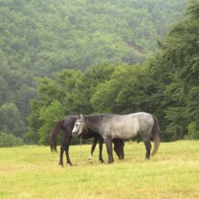 Koncheta v Mestnostta Panicite - Kalofer