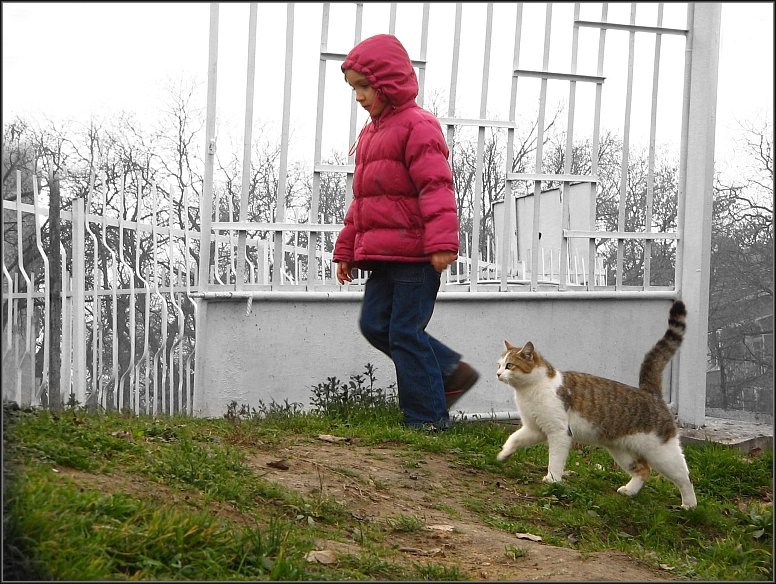 Приятелчета
