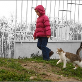 Приятелчета