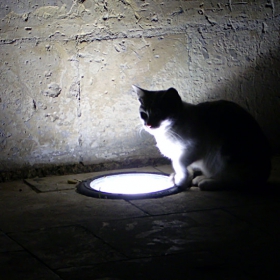 Lights of Mdina