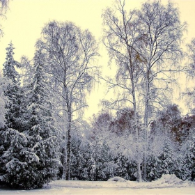 winter 2