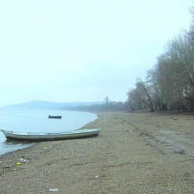 Брега на река Дунав при село Ново село /21. 12. 2006г. /