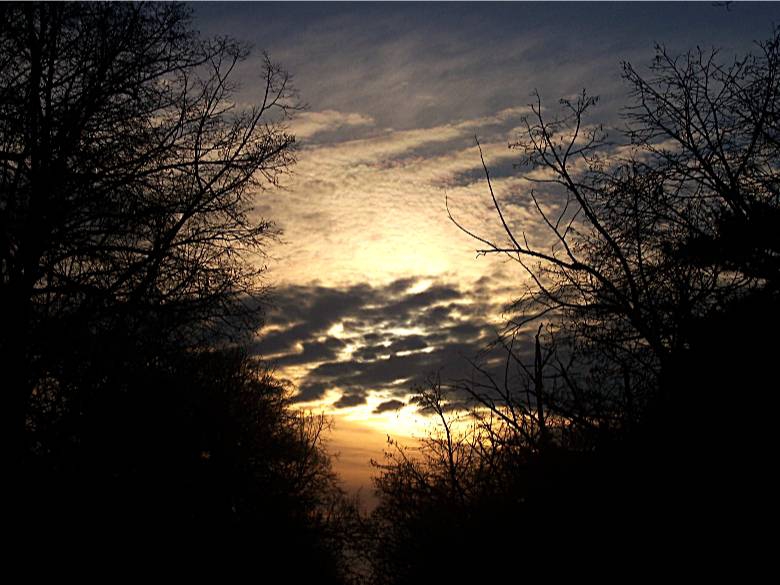 BG Sky