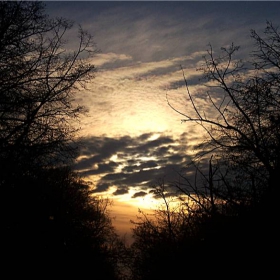 BG Sky