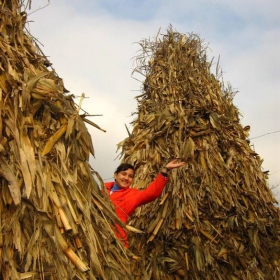 На село