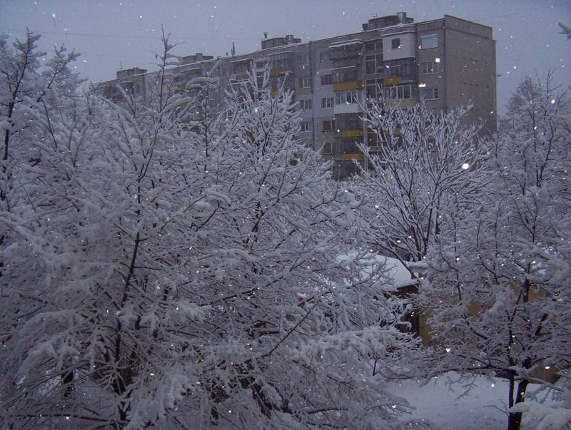 Зима
