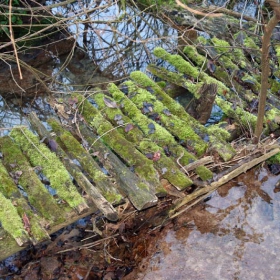 Крушунски водопад 1